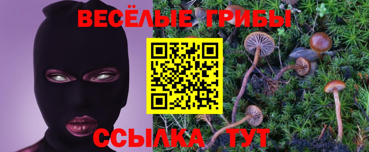 Меф мяу мяу Волхов
