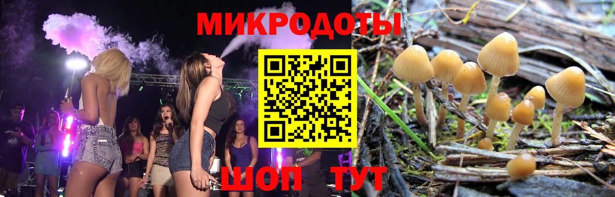 Галлюциногенные грибы Psilocybine cubensis Волхов